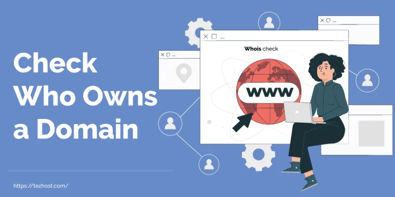 an illustration representing the procss of whois check of a domain name